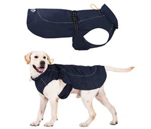 PROPLUMS Dog Raincoat Adjustable Lightweight