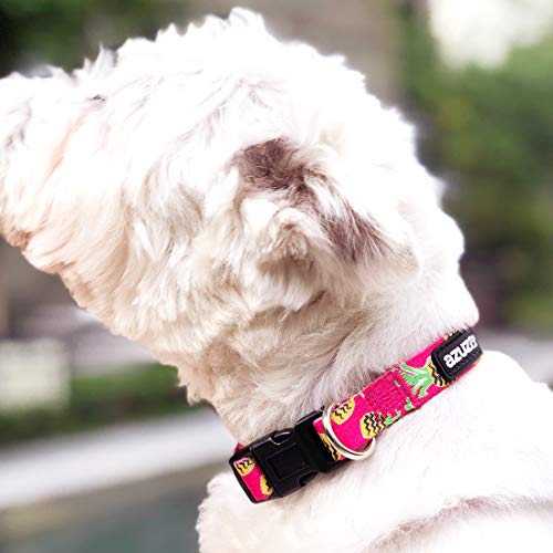 azuza Dog Collar and Leash Set, Adjustable Nylon
