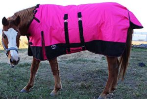 CHALLENGER 76" Turnout Waterproof Horse Winter
