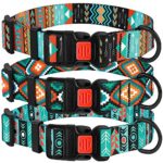 CollarDirect Nylon Dog Collar with Buckle