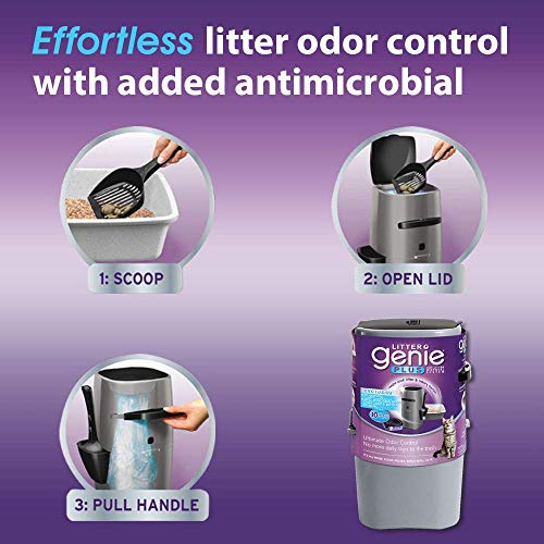 Litter Genie Plus Pail Ultimate Cat Litter Disposal System For Odor Free Homes Review 4844