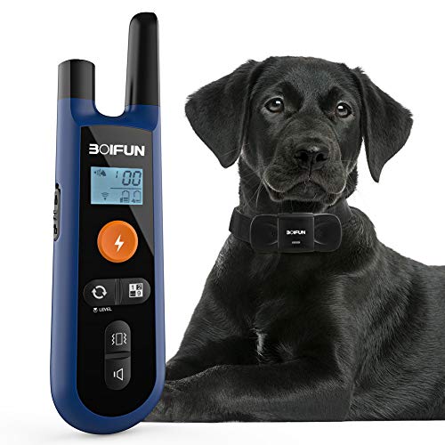 Dog Training Collar w/Remote