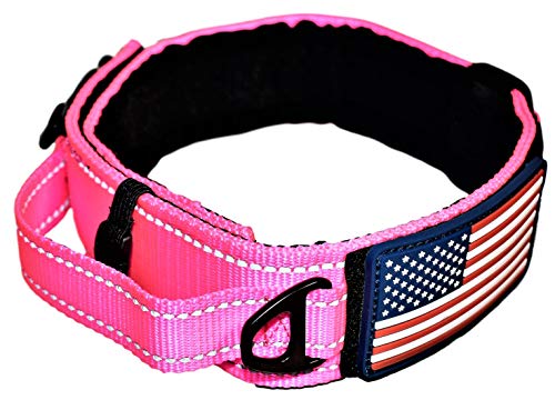 DOG COLLAR WITH CONTROL HANDLE QUICK RELEASE