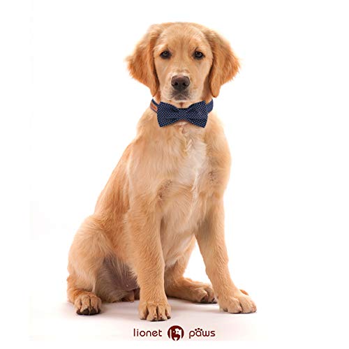 Lionet Paws Dog and Cat Collar with Bowtie