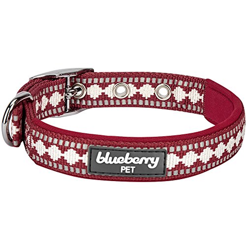 Blueberry Pet 7 Colors Soft & Comfy 3M Reflective