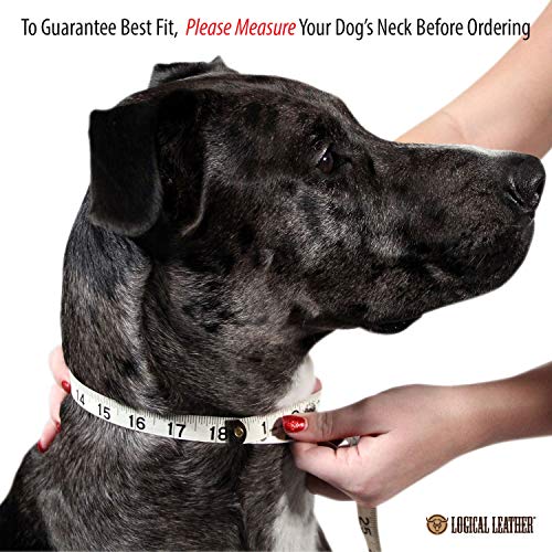 Logical Leather Padded Dog Collar - Best Full