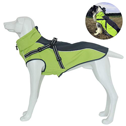 Petilleur Dog Jacket with Harness Outdoor