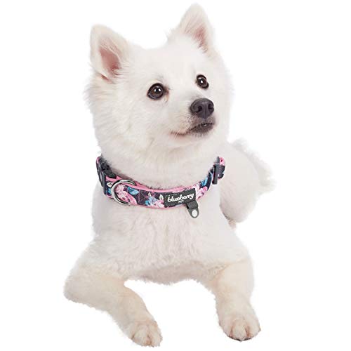 Blueberry Pet 6 Patterns Soft & Comfy