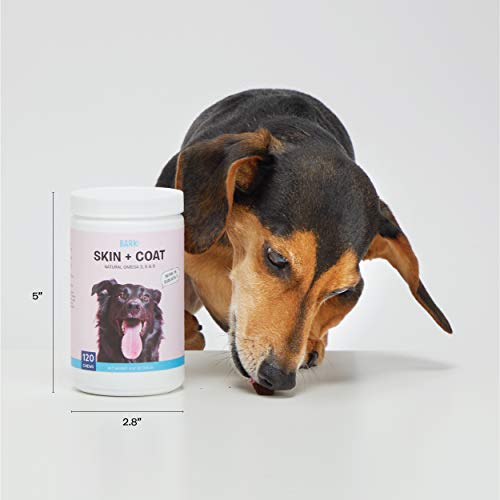 BarkBox Veterinarian-Formulated Dog Fish Oil Skin