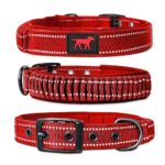 Heavy Duty Dog Collar With Handle | Ballistic Nylon