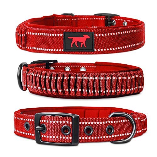 Heavy Duty Dog Collar With Handle Ballistic Nylon Best PetSep Com   985307561 1 