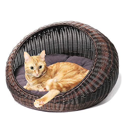 D+GARDEN Wicker Cat Bed for Indoor Cats - a Covered Modern Cat