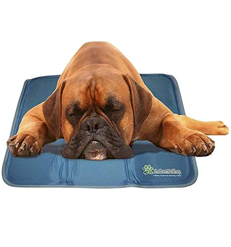The Green Pet Shop Dog Cooling Mat- Patented Pressure-Activated Cool Gel