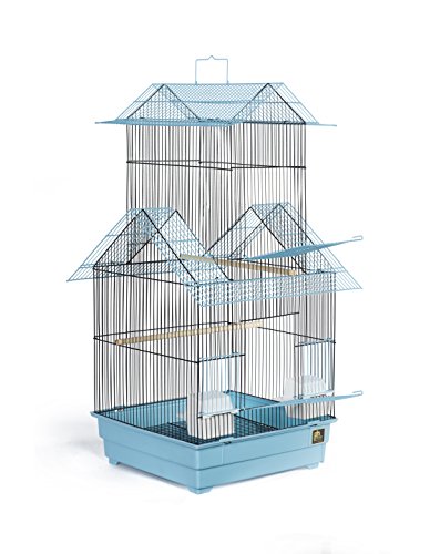Prevue Pet Products Beijing Bird Cage, Blue and Black
