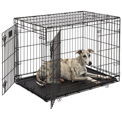 Dog Crate | MidWest Life Stages 36" Double Door Folding Metal Dog Crate