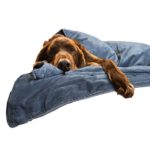 Canine Coddler The Original Anti Anxiety Weighted Dog Blanket