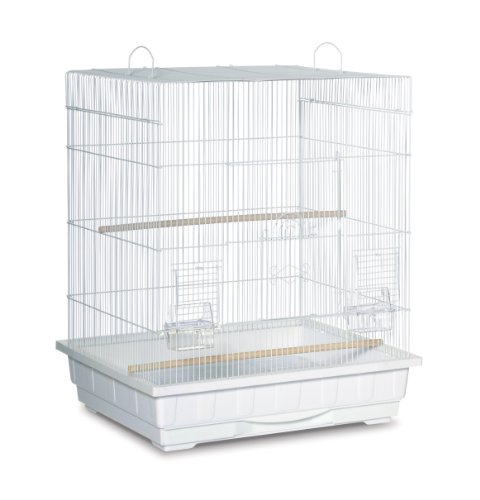 Prevue Pet Products Square Top Parakeet Cage, White