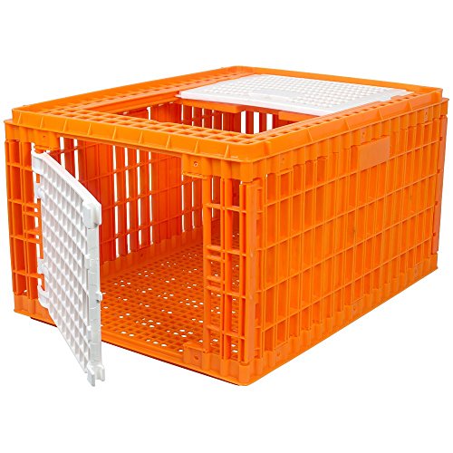 RentACoop Carrier Crate - 4 Models Available