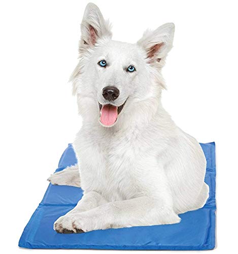 Hugs Pet Products Chillz Pressure Activated Pet Cooling Gel Pad