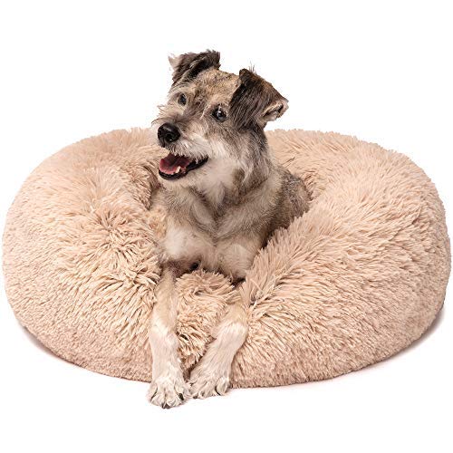 Friends Forever Premium Donut Bolster Orthopedic Dog Bed