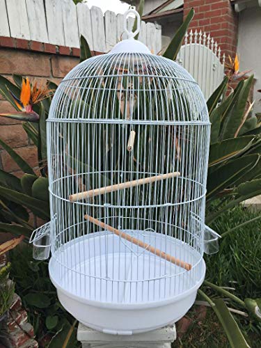 Mcage New Round Dome Canary Cockatiel Parakeet Bird Cage