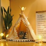 little dove Pet Teepee House Fold Away Pet Tent Furniture Cat Bed
