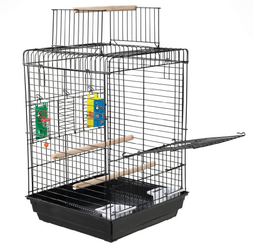 Kaytee Play n Learn Cage for Cockatiels