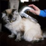 Useful Electric Pet Cat Dog Hair Fur Remover Animal Grooming Brush
