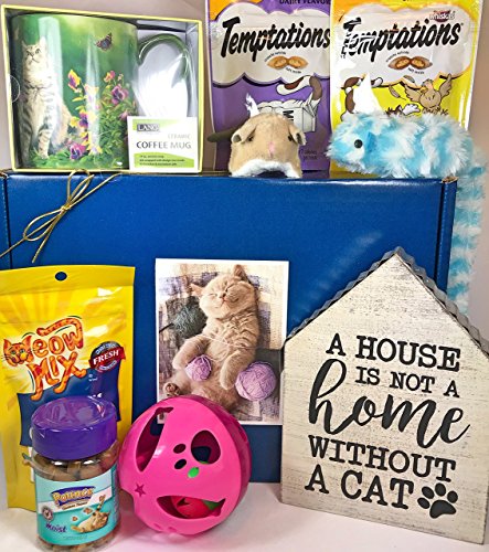 Cat Gift Box Basket for A Favorite Feline Fur Baby and His/Her Guardian