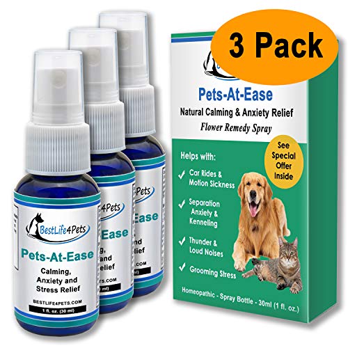 Calming Anxiety Relief for Dogs; All Natural Pet Stress