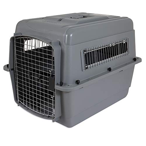 Petmate Sky Kennel Portable Dog Crate Travel Items