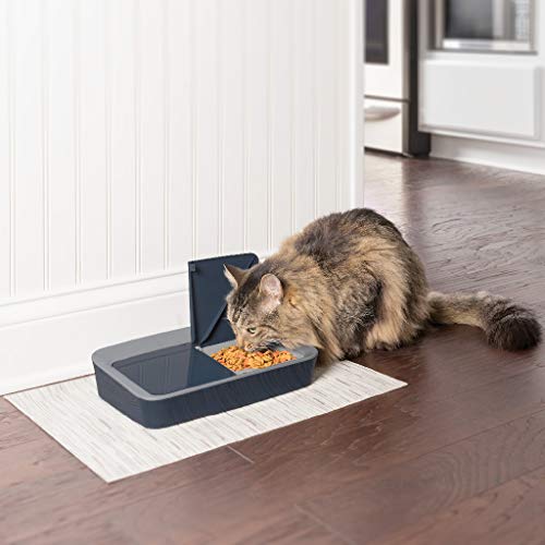 PetSafe Automatic 2 Meal Dog and Cat Feeder