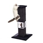 PAWZ Road 32" Cats Ultimate Scratching Post