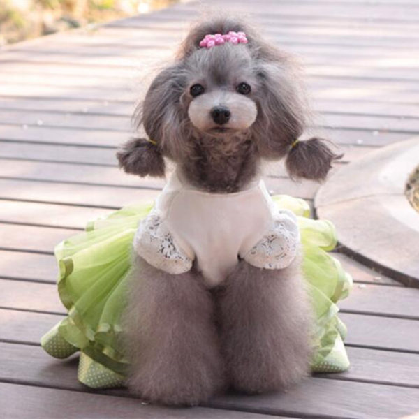 Cute Dog Clothes for Small Dogs Wedding Dress Skirt Summer Luxury Princess