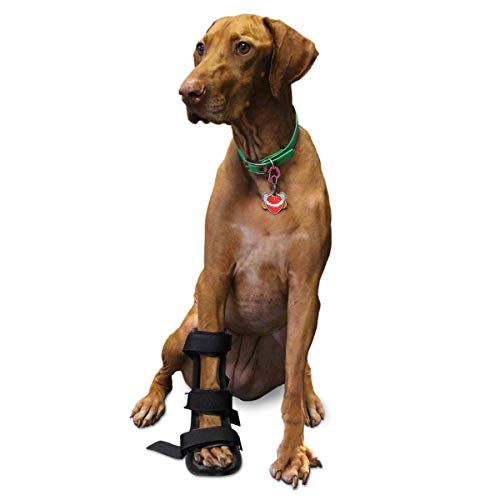 Walkin' Pet Splint for Dogs, Canine Front Leg Splint