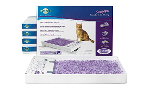 PetSafe ScoopFree Cat Litter Box Tray Refills with Lavender