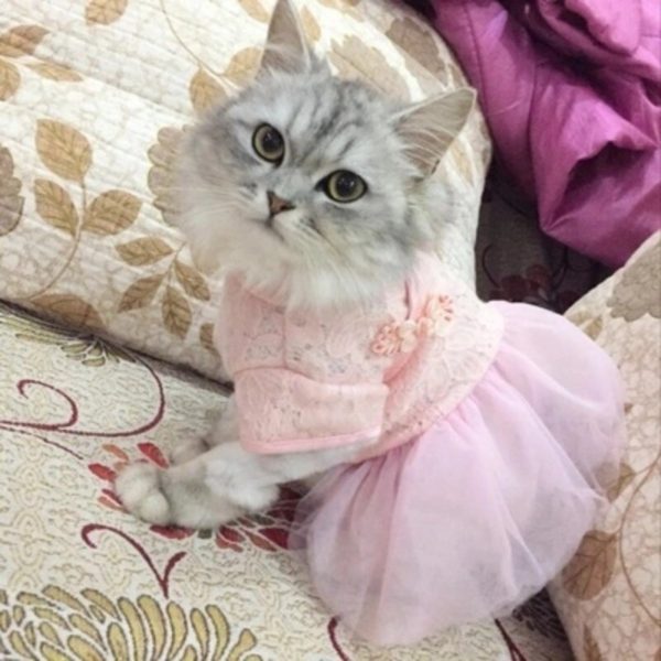 Spring Summer Dog Dress Cat Dress Skirt Pet Clothes Plaid Tulle Dress