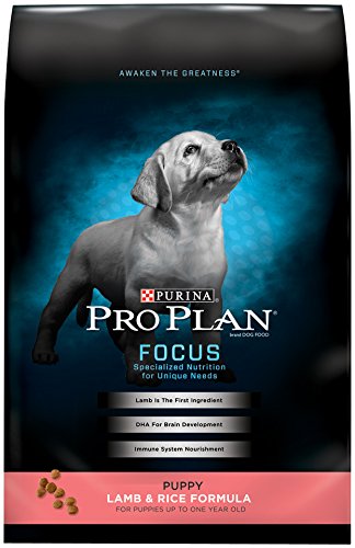 Purina Pro Plan Dry Puppy Food; FOCUS Lamb & Rice Formula