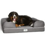 PetFusion Extra Large Dog Bed w/Solid 4" Memory Foam, Waterproof Liner