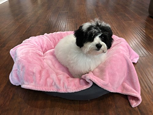 Higher Comfort Super Soft Pet Blanket for Small Dogs, Puppies, Cats & Kittens