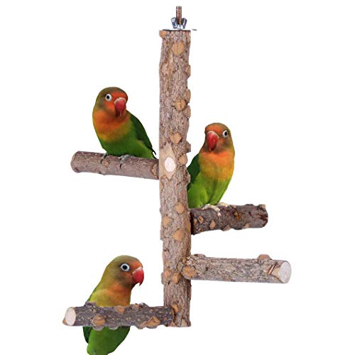 Ewook Bird Cage Perch, Birdcage Stands, Parrot Cage Top Play Stands Wooden
