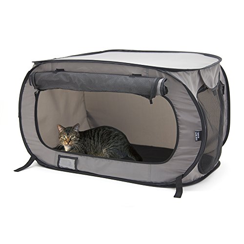 SportPet Designs Large Pop Open Kennel, Portable Cat Cage Kennel