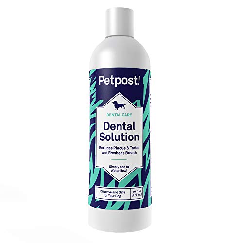 Petpost | Dental Solution for Dogs - Water Additive That Kills Bad Breath