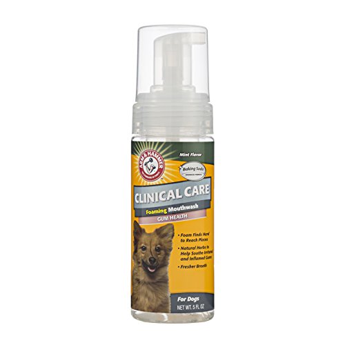Arm & Hammer Clinical Care Dental Foaming Mouthwash for Dogs
