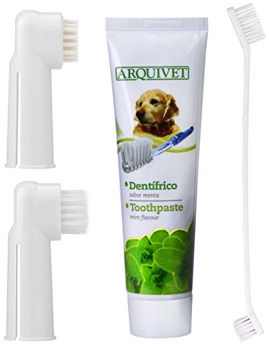 QUMY Toothpaste for Dogs 3.5 oz Pet Dental Care Kit with 2 Finger Toothbrushes