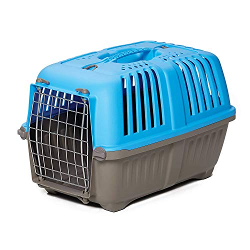 Pet Carrier: Hard-Sided Dog Carrier, Cat Carrier, Small Animal Carrier in Blue