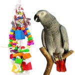 MEWTOGO Amazon Parrot Toy - Multicolored Wooden Blocks