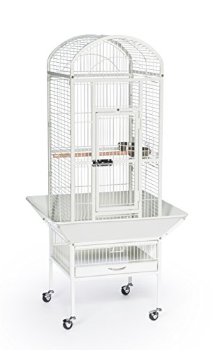 Prevue Pet Products Dometop Bird Cage, Small, Chalk White