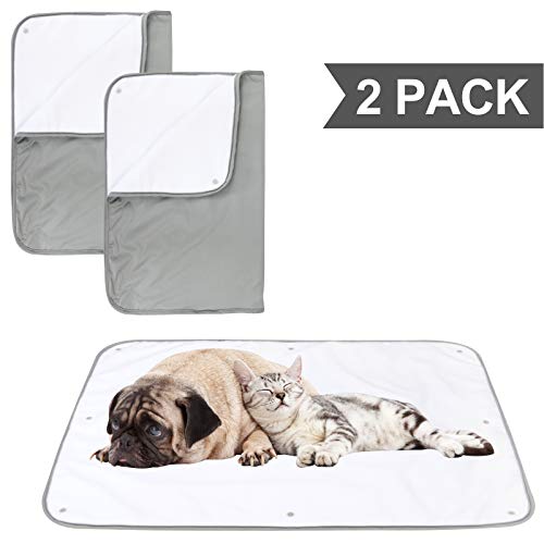 Paw Legend Multiple Sizes Waterproof Dog Blanket for Couches,Sofa,Bed and Car | Pet Fleece Incontinence Blanket Pad for Dogs,Puppies,Cats and Kids (Grey Color)
