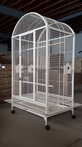 Everila PCDT36 Large Bird Cage Parrot Cages Dometop